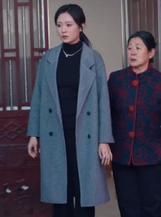 短剧《回家过年遇到极品亲戚》29集短剧极速播放全集在线看