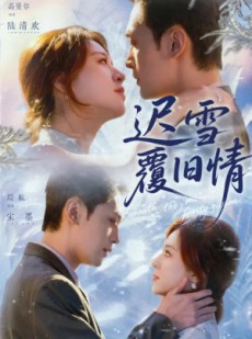 短剧《迟雪覆旧情》62集短剧在线畅享全集大结局