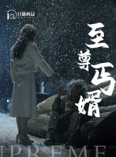 短剧《至尊丐婿》91集短剧1080P高清画质在线畅享