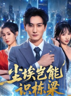 短剧《尘埃岂能识栋梁》65集短剧1080P在线免费赏剧