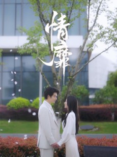 短剧《情靡》92集短剧完整版在线免费追