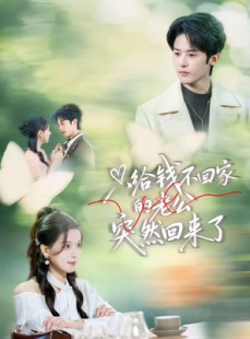 短剧《只给钱不回家的老公突然回来了》70集短剧全集高清免费播