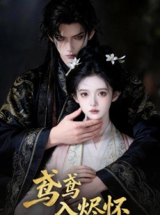 短剧《鸢鸢入烬怀》15集短剧全集在线观看无广告