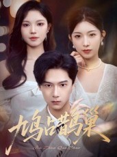短剧《鸠占鹊巢》70集短剧全集免费在线一看到底