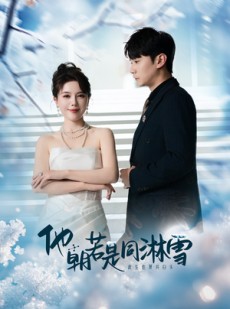 短剧《他朝若是同淋雪》48集短剧全集高清版免费看全集