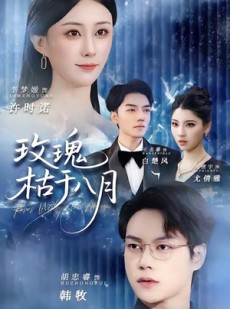 短剧《玫瑰枯于八月》80集短剧超清画质免费追剧