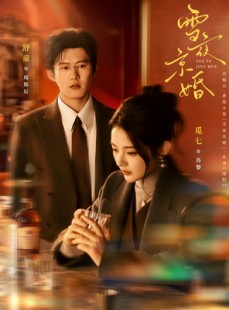 短剧《雪夜京婚》84集短剧在线解锁全集畅快看