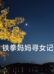 短剧《铁拳妈妈寻女记》69集短剧每日更新不间断观看