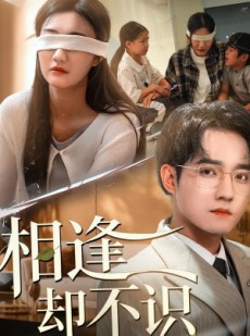 短剧《相逢却不识》77集短剧免费观看全剧不卡顿