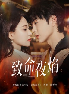 短剧《致命夜焰》80集短剧无广告版全集免费欣赏