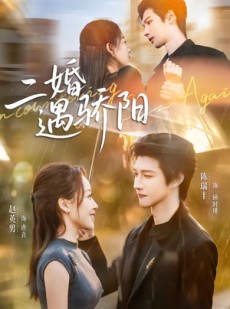 短剧《二婚遇骄阳》65集短剧高清无删减在线观看