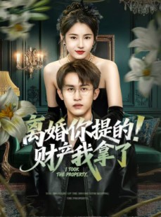 短剧《离婚你提的！财产我拿了》63集短剧完整版高清免费看