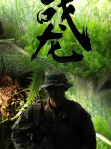 短剧《战龙》80集短剧1080P高清在线观看