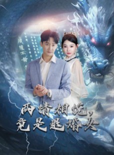 短剧《两情相悦，竟是退婚女》81集短剧全集在线观看，无需会员