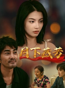 短剧《月下藏芳》62集短剧全集剧情在线解析