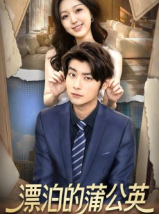 短剧《漂泊的蒲公英》60集短剧完整版全集免费看