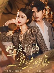 短剧《你是我的掌心朱砂痣》80集短剧高清全集手机免费看