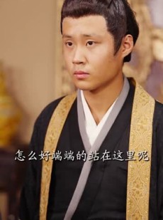 短剧《大乾帝君》88集短剧高清全集手机在线看