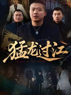 短剧《猛龙过江》60集短剧全集高清在线免费观