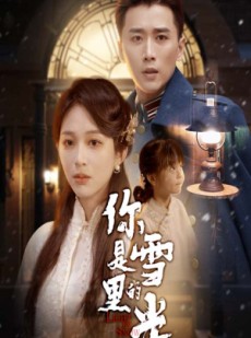 短剧《你是雪里的光》64集短剧蓝光画质独家免费观看