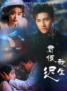 短剧《君恨我生迟》60集短剧全屏播放沉浸式体验