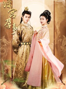 短剧《深宫孕事》30集短剧蓝光画质无广告观看