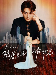 短剧《夫人，陆总已死请节哀》95集短剧极速缓冲流畅观看