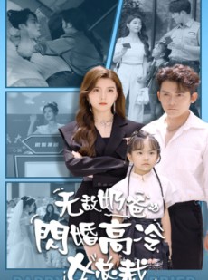 短剧《无敌奶爸闪婚高冷女总裁》62集短剧手机端专享免费观看