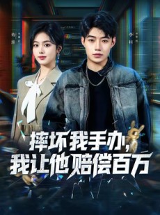 短剧《摔坏我手办，我让他赔偿百万》70集短剧在线观看全集不卡顿