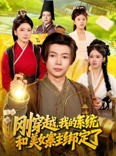 短剧《刚穿越，我的系统和美女寨主绑定了》98集短剧免费解锁全集观看
