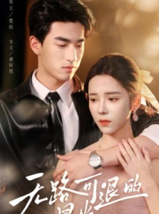 短剧《无路可退的星光》54集短剧蓝光画质独家免费观看