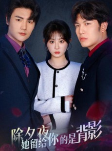 短剧《一厢情愿两自伤》30集短剧HD画质在线观看