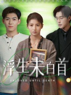 短剧《浮生未白首》50集短剧全集高清免费在线播放