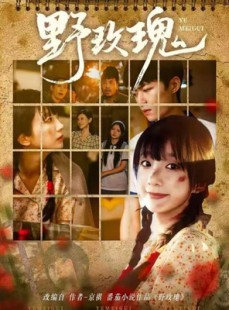 短剧《野玫瑰》82集短剧全集在线免费追