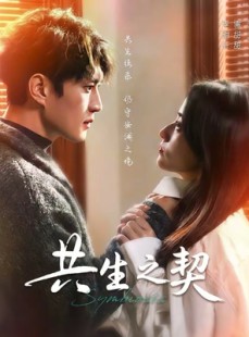 短剧《共生之契》67集短剧超清画质在线追剧无忧