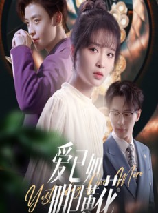 短剧《爱已如明日黄花》60集短剧全集资源一键解锁观看