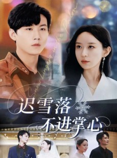 短剧《迟雪落不进掌心》79集短剧1080P高清在线免费追