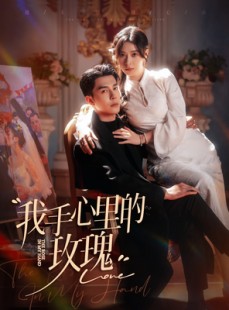 短剧《我手心里的玫瑰》91集短剧超清画质大屏观看更过瘾
