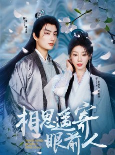 短剧《相思遥寄眼前人》83集短剧全集高清手机观看