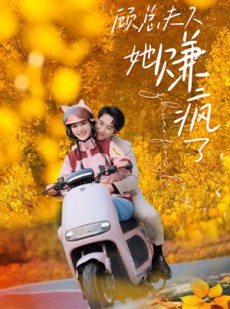 短剧《顾总夫人她赚疯了》80集短剧全集免费版在线观看