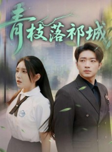 短剧《青枝落祁城》71集短剧蓝光画质无广告观看