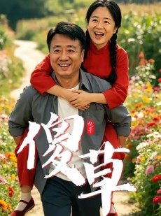 短剧《傻草》71集短剧高清画质在线播放