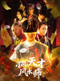 短剧《小小天才风水师》80集短剧超清画质网盘直接看