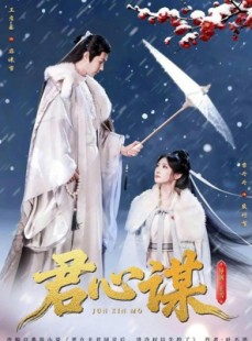 短剧《君心谋》80集短剧完整版免费在线观看