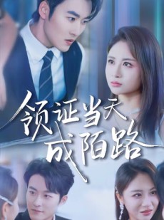 短剧《领证当天成陌路》39集短剧在线免费看完整剧情