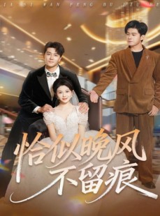 短剧《恰似晚风不留痕》61集短剧在线观看无广告大结局
