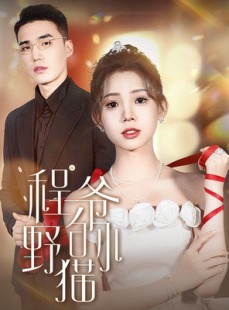 短剧《程爷的小野猫》40集短剧全集在线观看高清不等待