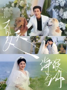 短剧《夏天，海浪与你》76集短剧蓝光画质在线观看