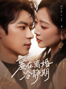 短剧《爱在离婚冷静期》73集短剧在线高清观看大结局