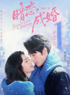 短剧《暗恋成婚》60集短剧高清流畅在线看全集